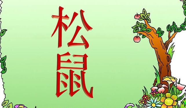 松鼠ppt課件完美版