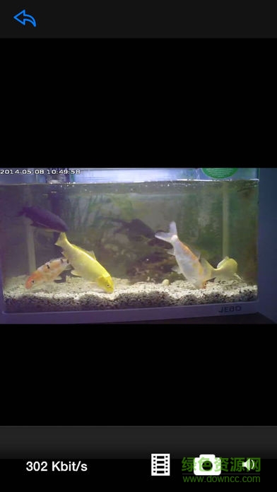 e看監(jiān)控軟件手機(jī)版(ecamera) v1.1.9 官方安卓版 3