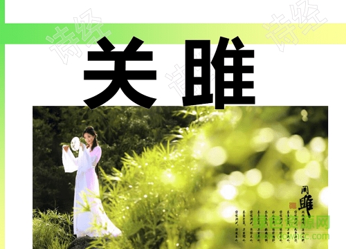 關(guān)雎ppt優(yōu)質(zhì)課件  0