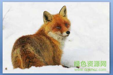 金色的腳印ppt完美版  0