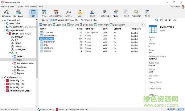 navicat for oracle中文正式版 v12.0 免費試用版_64/32位 0