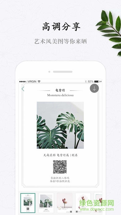 花眼(拍照識花) v1.0.2 安卓版 2