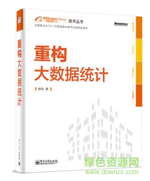 重構大數據統(tǒng)計 楊旭  0
