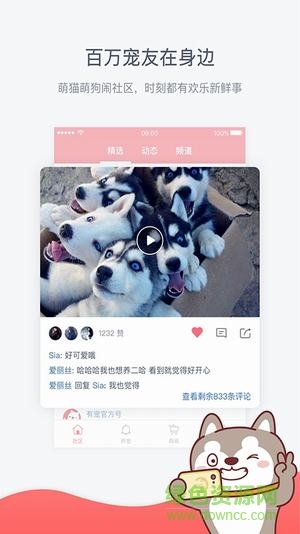 共享寵物手機版(有寵) v4.2.0 安卓版 0