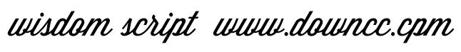 wisdomscriptai字體