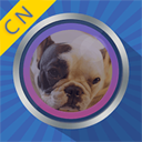 變臉魔鏡手機(jī)版