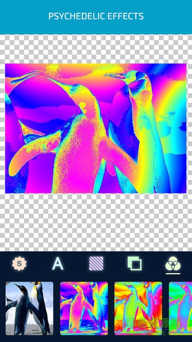 trippy effects trippy effects