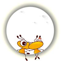 55ab螞蟻手打論壇手機(jī)版