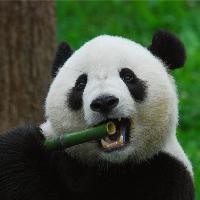 科技殿堂24摳圖軟件(Retouch)