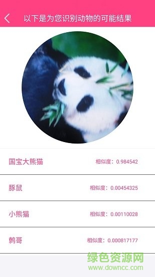 拍照識物軟件app v3.1.2 安卓版 0