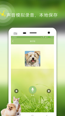 人狗人貓交流器app