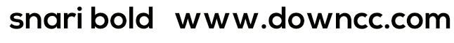 snari字體