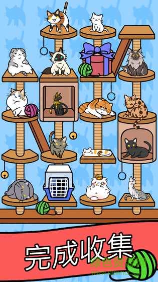 cat condo cat condo游戲