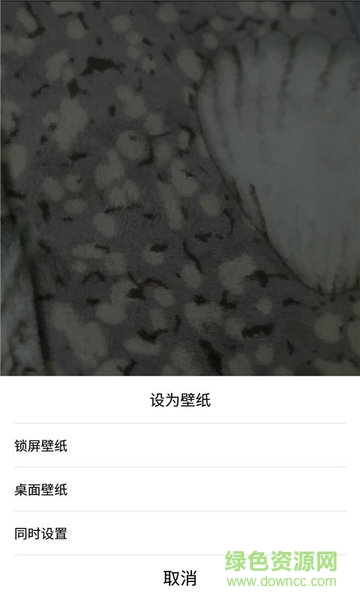 一鍵透明屏幕app