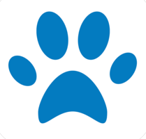 憨憨樂園自動(dòng)喂食器