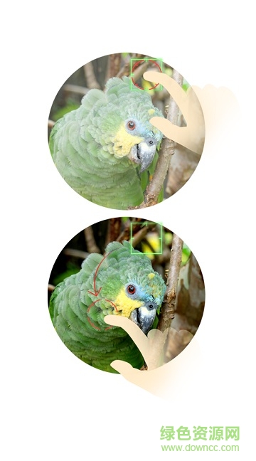 努比亞z17mini相機apk