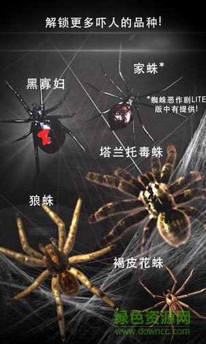 手機(jī)屏幕養(yǎng)蜘蛛軟件Spider Prank v1.2 安卓版 0