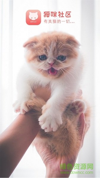 貓咪社區(qū) v1.0.15 安卓版 0
