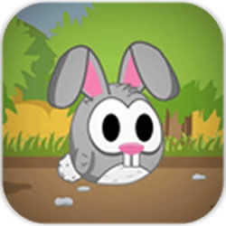 帕奇大冒險Pakkeys adventure