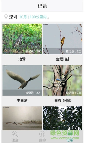 懂鳥(niǎo)智能鳥(niǎo)類(lèi)識(shí)別 懂鳥(niǎo)智能鳥(niǎo)類(lèi)識(shí)別