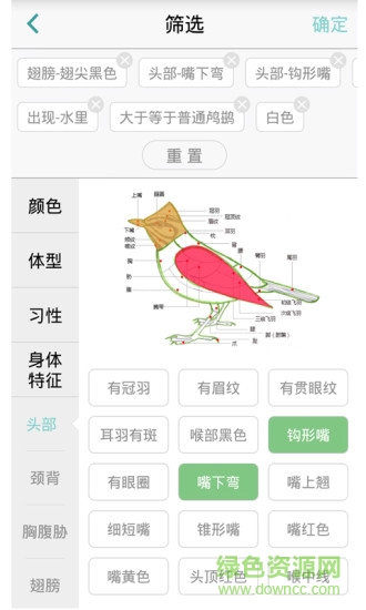懂鳥(niǎo)(智能鳥(niǎo)類(lèi)識(shí)別軟件) v2.3 安卓版 3