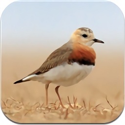 中國(guó)鸻鷸類識(shí)別android