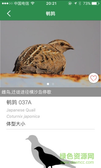 上海野鳥軟件