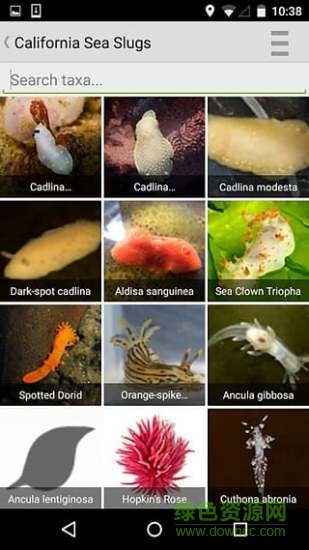 inaturalist(動(dòng)物昆蟲(chóng)識(shí)別) v1.4.6 安卓版 1