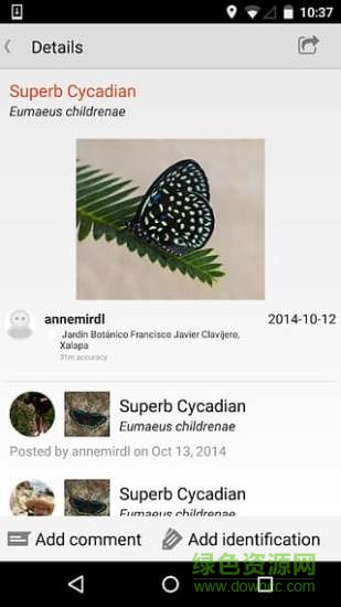 inaturalist(動(dòng)物昆蟲(chóng)識(shí)別) v1.4.6 安卓版 2