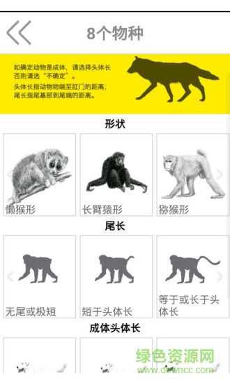 動物守護者手機版 v2.1 安卓版 3