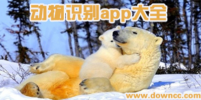 識別動物的app哪個好?拍照識別動物的軟件-可以拍照識別昆蟲app