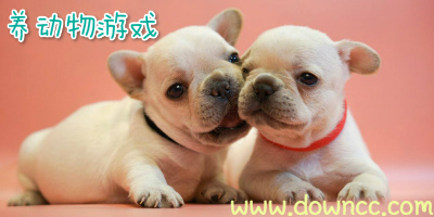 模擬養(yǎng)寵物的手機(jī)游戲-養(yǎng)動(dòng)物的游戲軟件-養(yǎng)動(dòng)物游戲下載