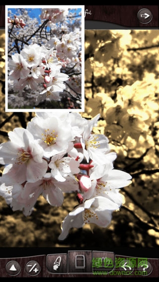 colorful手機版 colorful手機版