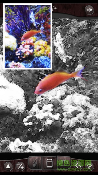 colorful軟件 v1.5.5 安卓版 3