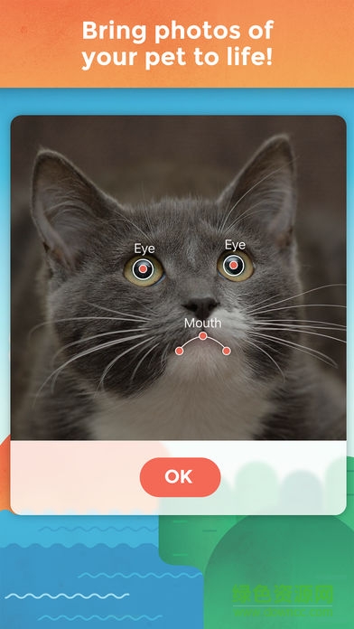 我的寵物會說話app v2.8 安卓版 0
