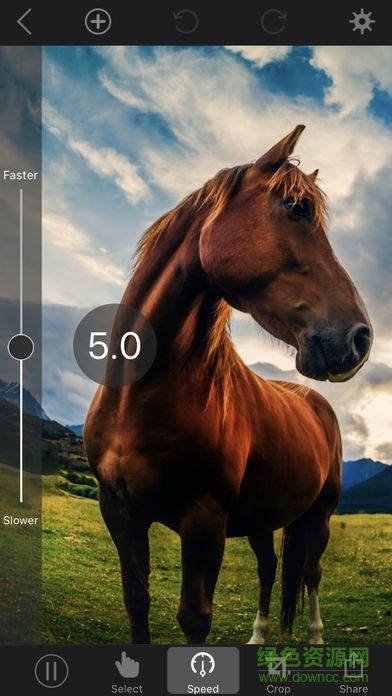photo animator漢化版 v4.9.1 安卓版 1
