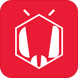 蜜蜂小報(bào)手機(jī)版