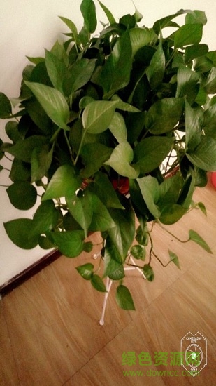 美妝美顏P圖相機 v9.7.4 安卓版 0