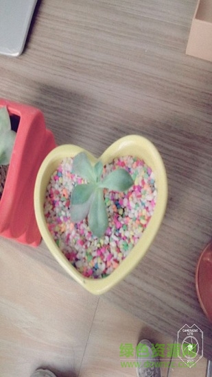 美妝美顏P圖相機 v9.7.4 安卓版 1