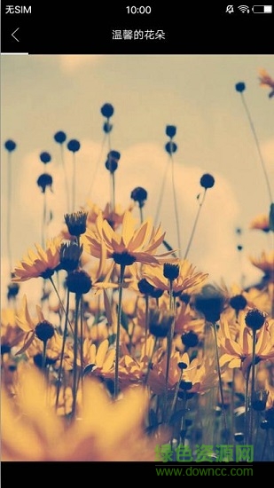 美之圖 美之圖破去廣告版