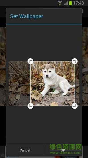 wallpapercasa壁紙casa v6.10.0 安卓版 2