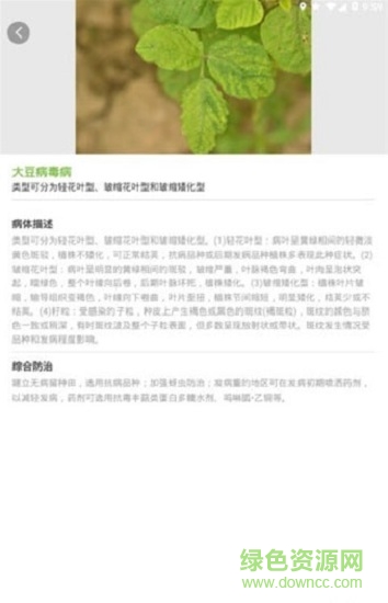 隨識(shí) v1.1.3 安卓版 0