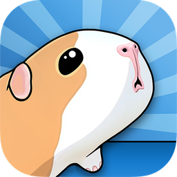 豚鼠和橋梁(GUINEA PIG BRIDGE)