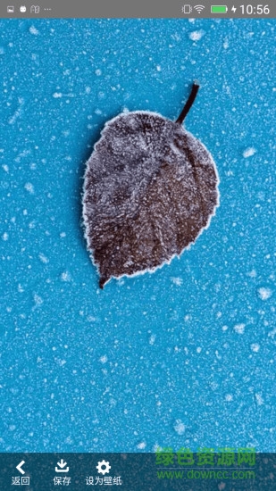 壁紙點(diǎn)點(diǎn)手機(jī)版 v4.0.9 安卓版 2