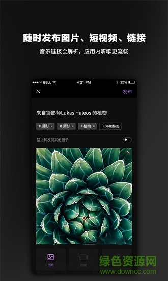 毛球 v2.0.3 安卓版 1
