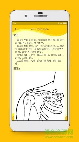 人体穴位图解 v2.9.4 安卓版1