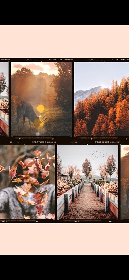 storyluxe(復古相機) v2.5 安卓版 1