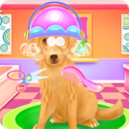 小狗愛(ài)洗澡