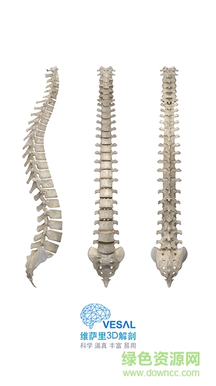 維薩里3d解剖全集終身正式版1