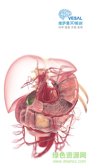 維薩里3d解剖全集終身正式版0